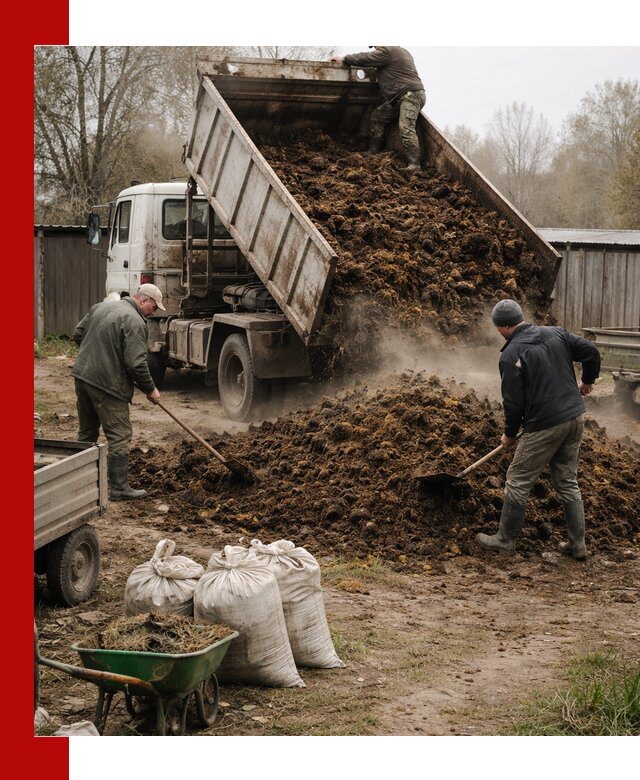 Доставка коровьего навоза самосвалом в Нягани